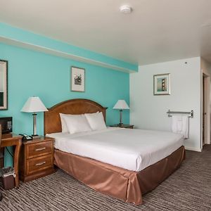 Chambre Lit King-Size avec Accès aux Personnes Handicapées